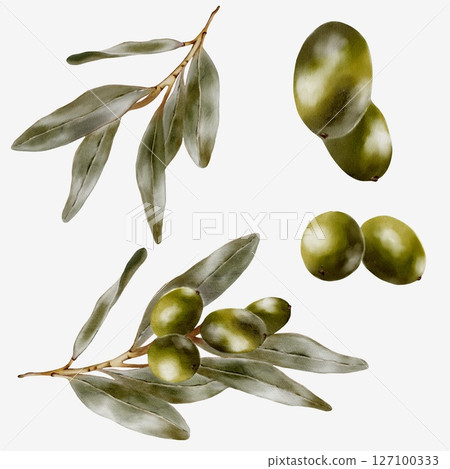 Watercolor olive branch and fruit pattern for textile design 127100333