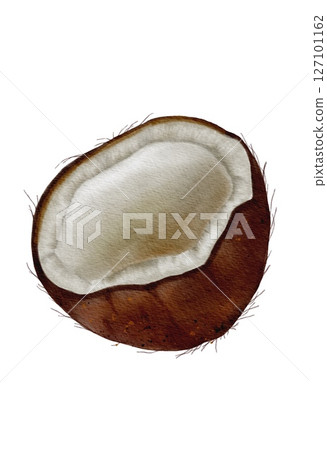 Inspired watercolor illustration capturing the essence of jungle wildlife and natural elements 127101162