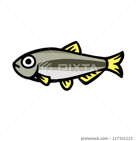 Simple illustration of a chum fish 127101225