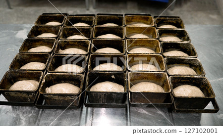 Bread dough rising in baking pans in bakery kitchen 127102001