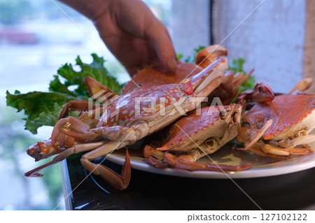 steamed hairy crab meat in hand close up. 127102122