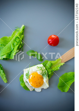 Appetizing fried egg with greens on wooden spatula, on gray background Appetizing fried egg with greens on wooden spatula, on gray background 127102140