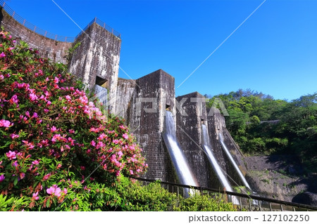 [Kagawa Prefecture] Azaleas blooming in spring at the Honenike Dam (Hoenike Weir), the first stone masonry multiple arch dam in the country 127102250