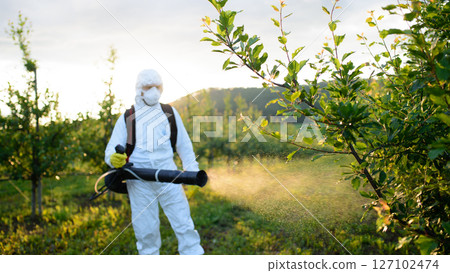 Farmer spraying pesticide in orchard, disinfecting trees in protective suit. Farmer spraying pesticide in orchard, disinfecting trees in protective suit. 127102474