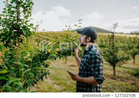 Monitoring orchard health with smart farming technology. 127102506
