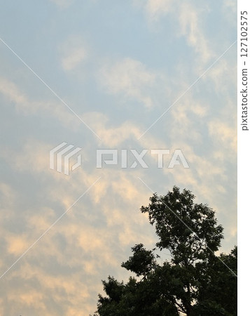 Soft Evening Clouds and Summer Trees Soft Evening Clouds and Summer Trees 127102575