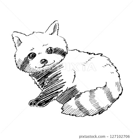 Cute Racoon Character Cartoon Animal Vector Illustration Cute Racoon Character Cartoon Animal Vector Illustration 127102706