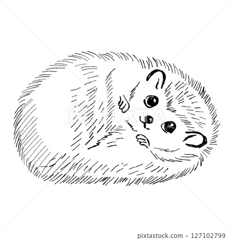 Vector Illustration Of Cute Hedgehog Character Cartoon Style Animal Vector Illustration Of Cute Hedgehog Character Cartoon Style Animal 127102799