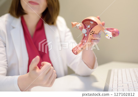 Gynecologist during appointment of patient. Doctor shows anatomical model of internal female organs and explains about disease. Gynecological consultation of treatment tactics 127102812