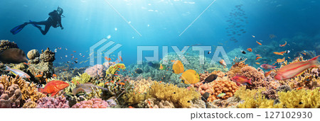 Scuba Diver Swimming in Deep Sea with Sunrays and Beautiful Coral Reef with Colorful Fishes Scuba Diver Swimming in Deep Sea with Sunrays and Beautiful Coral Reef with Colorful Fishes 127102930