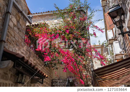 Bougainvillea in full bloom cascading over stone balcony in narrow alley. Mediterranean charm, summer mood, and urban floral beauty. Bougainvillea in full bloom cascading over stone balcony in narrow alley. Mediterranean charm, summer mood, and urban floral beauty. 127103664