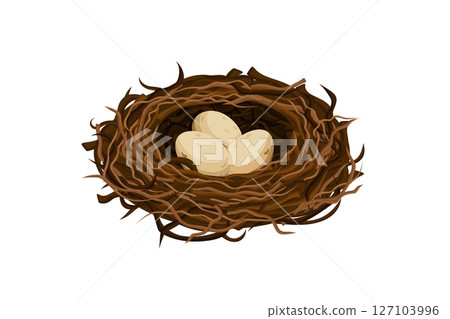 Nest with three eggs in detailed branches and twigs on white background 127103996