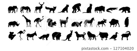 Silhouettes of various animals displaying a wide range of wildlife diversity in black contours 127104020