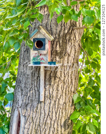 Birdhouse on a tree in the forest 127104125