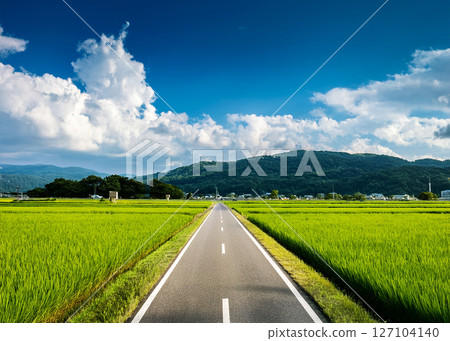 Japanese Summer-3 127104140