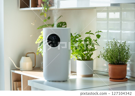 Modern humidifier at home, moistens dry air surrounded by indoor plant. Humidification concept Modern humidifier at home, moistens dry air surrounded by indoor plant. Humidification concept 127104342