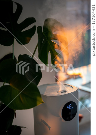 Modern humidifier at home, moistens dry air surrounded by indoor plant. Apartment with moisturizer.  127104431