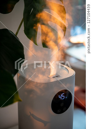 Modern humidifier at home, moistens dry air surrounded by indoor plant. Apartment with moisturizer.  127104439