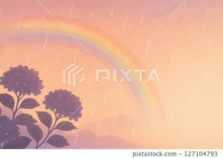 Evening Rain and Rainbow Hydrangea 127104793