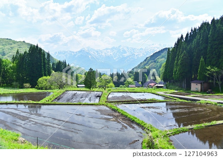 The rice fields in Aooni village are ready for rice planting. 127104963
