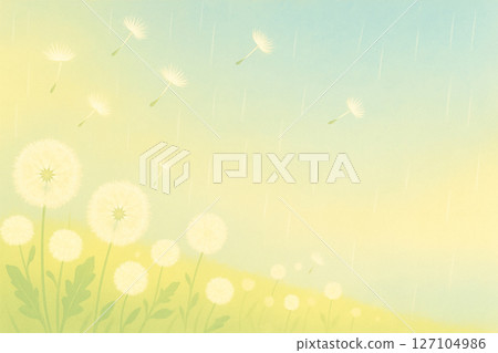 雨後的蒲公英和微風 127104986