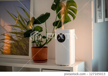 Modern humidifier at home, moistens dry air surrounded by indoor plant. Apartment with moisturizer. Modern humidifier at home, moistens dry air surrounded by indoor plant. Apartment with moisturizer. 127105013