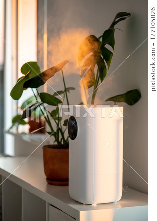 Modern humidifier at home, moistens dry air surrounded by indoor plant. Apartment with moisturizer. Modern humidifier at home, moistens dry air surrounded by indoor plant. Apartment with moisturizer. 127105026