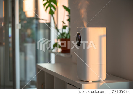 Modern humidifier at home, moistens dry air surrounded by indoor plant. Apartment with moisturizer.  127105034