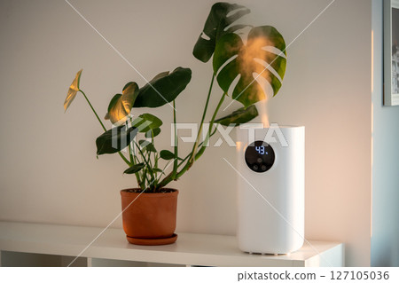Modern humidifier at home, moistens dry air surrounded by indoor plant. Apartment with moisturizer. Modern humidifier at home, moistens dry air surrounded by indoor plant. Apartment with moisturizer. 127105036