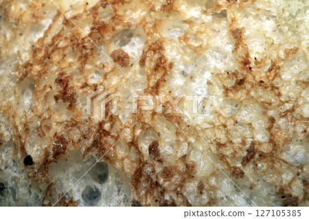 Close up of lightly toasted bread as a texture Close up of lightly toasted bread as a texture 127105385