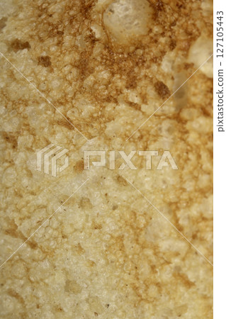 Close up of lightly toasted bread as a texture 127105443