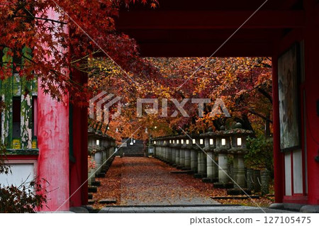 高山寺的秋葉 127105475