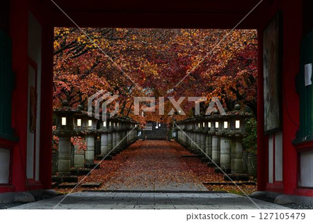 Autumn leaves of Takayama-ji Autumn leaves of Takayama-ji 127105479