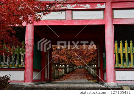 Autumn leaves of Takayama-ji Autumn leaves of Takayama-ji 127105481
