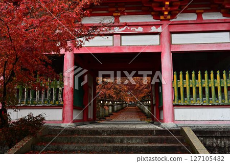 高山寺的秋葉 高山寺的秋葉 127105482