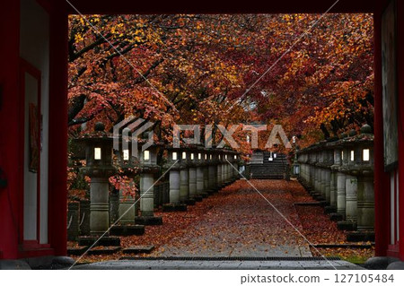 Autumn leaves of Takayama-ji 127105484