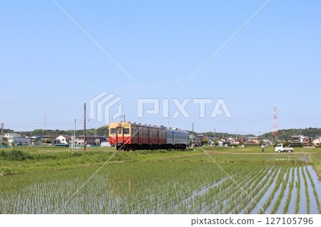 Kurumin線 127105796