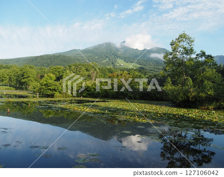 Mt. Myoko seen from Imori Pond (Imori Pond, Myoko City, Niigata Prefecture) Mt. Myoko seen from Imori Pond (Imori Pond, Myoko City, Niigata Prefecture) 127106042