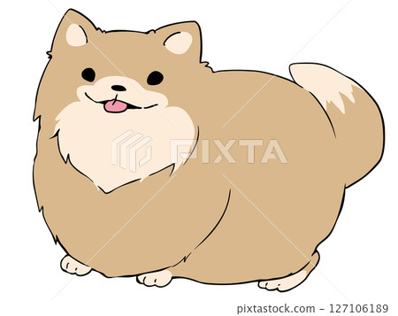 波美拉尼亞 127106189