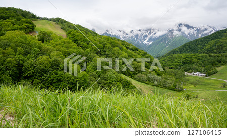 Fresh green mountains and remaining snow in the Northern Alps - Mt. Kashima-Yari Fresh green mountains and remaining snow in the Northern Alps - Mt. Kashima-Yari 127106415