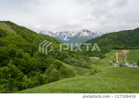 Fresh green mountains and remaining snow in the Northern Alps - Mt. Kashima-Yari Fresh green mountains and remaining snow in the Northern Alps - Mt. Kashima-Yari 127106416