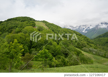 Fresh green mountains and remaining snow in the Northern Alps - Mt. Kashima-Yari Fresh green mountains and remaining snow in the Northern Alps - Mt. Kashima-Yari 127106417