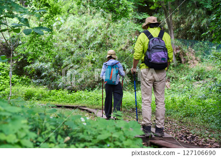 Hiking, trekking, senior, walking, mountain climbing 127106690