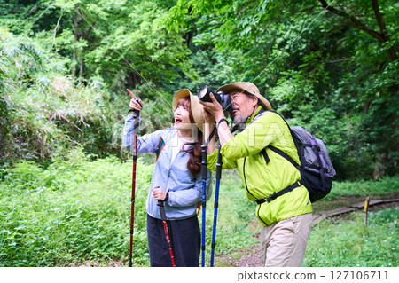 Hiking, trekking, senior, walking, mountain climbing Hiking, trekking, senior, walking, mountain climbing 127106711