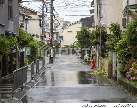 Rainy day in a residential area 127106842