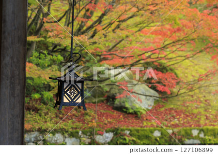 三原市三溪園迴廊的燈籠和紅葉池塘 127106899