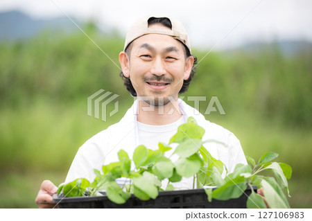 一名留著鬍鬚的男子在田裡種植茄子幼苗。農民或農業工人的形象。看著相機。 127106983