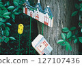 A tiny house built into a tree trunk 127107436