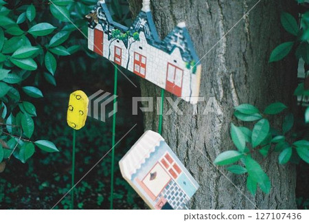 建在樹幹上的小房子 建在樹幹上的小房子 127107436