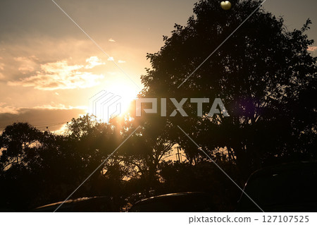 Dazzling sunlight 127107525